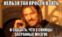 нельзя так просто взять и сказать, что у синицы засранные мозгие