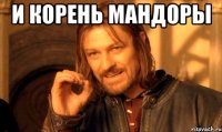 и корень мандоры 