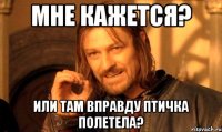 мне кажется? или там вправду птичка полетела?