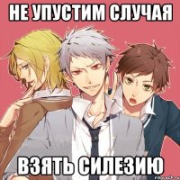 не упустим случая взять силезию