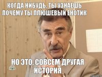 Когда нибудь, ты узнаешь почему ты плюшевый енотик Но это, совсем другая история