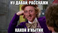 ну давай, расскажи какой я нытик