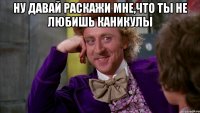 ну давай раскажи мне,что ты не любишь каникулы 