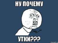 ну почему утки???