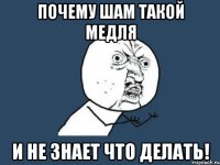 почему шам такой медля и не знает что делать!