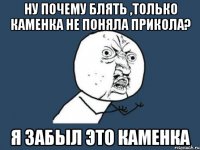 ну почему блять ,только каменка не поняла прикола? я забыл это каменка