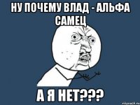 ну почему влад - альфа самец а я нет???