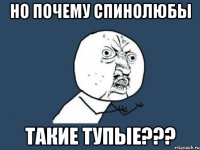 но почему спинолюбы такие тупые???