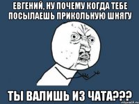 евгений, ну почему когда тебе посылаешь прикольную шнягу ты валишь из чата???