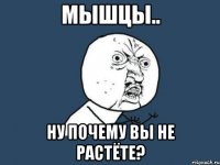 мышцы.. ну почему вы не растёте?