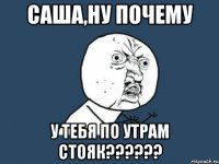 саша,ну почему у тебя по утрам стояк???