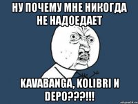 ну почему мне никогда не надоедает kavabanga, kolibri и depo???!!!