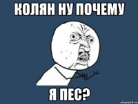 колян ну почему я пес?
