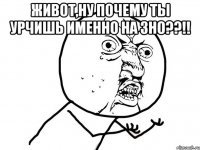 живот,ну почему ты урчишь именно на зно??!! 