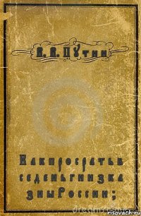 В. В. П у т и н К а к п р о с р а т ь в с е д е н ь г и и з к а з н ы Р о с с и и ?