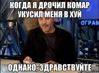 когда я дрочил комар укусил меня в хуй однако, здравствуйте