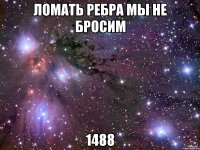 ломать ребра мы не бросим 1488