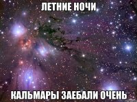 летние ночи кальмары заебали очень