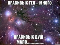 красивых тел – много, красивых душ – мало....................