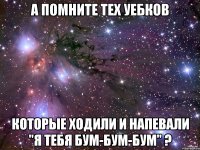 а помните тех уебков которые ходили и напевали "я тебя бум-бум-бум" ?