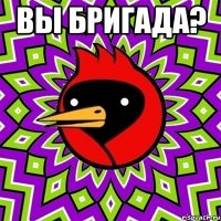 вы бригада? 