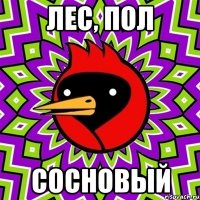 лес, пол сосновый