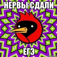 нервы сдали егэ