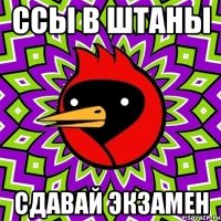 ссы в штаны сдавай экзамен