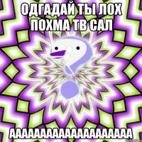 одгадай ты лох похма тв сал аааааааааааааааааааа