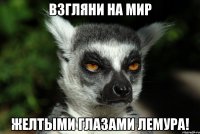 взгляни на мир желтыми глазами лемура!