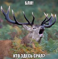 бля! кто здесь срал?