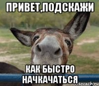 привет,подскажи как быстро начкачаться