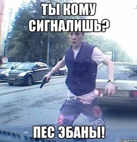 ты кому сигналишь? пес эбаны!