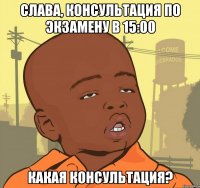 слава, консультация по экзамену в 15:00 какая консультация?