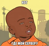 кот где мой сервер?