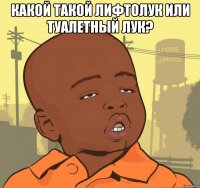 какой такой лифтолук или туалетный лук? 