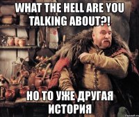 what the hell are you talking about?! но то уже другая история