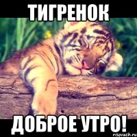 тигренок доброе утро!