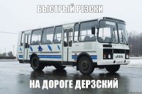 БЫСТРЫЙ РЕЗСКИ НА ДОРОГЕ ДЕРЗСКИЙ