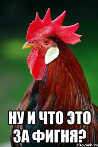  ну и что это за фигня?