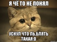 я чё то не понял уснул что ль,блять такая:d