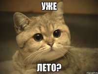 уже лето?