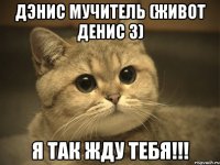 дэнис мучитель (живот денис 3) я так жду тебя!!!