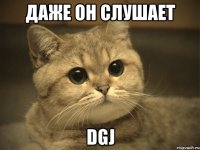 даже он слушает dgj