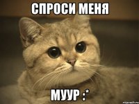 спроси меня муур :*