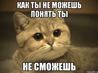 как ты не можешь понять ты не сможешь