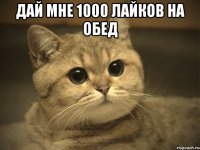 дай мне 1000 лайков на обед 