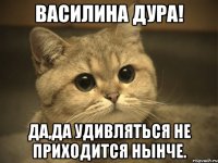 василина дура! да,да удивляться не приходится нынче.