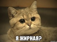  я жирная?