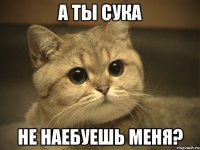 а ты сука не наебуешь меня?